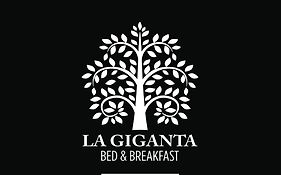 B&B La Giganta